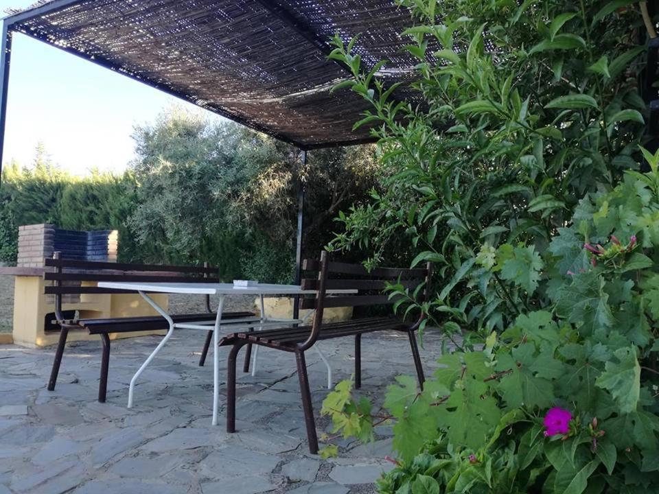 Casa Rural Recreo 埃尔加斯托尔 外观 照片